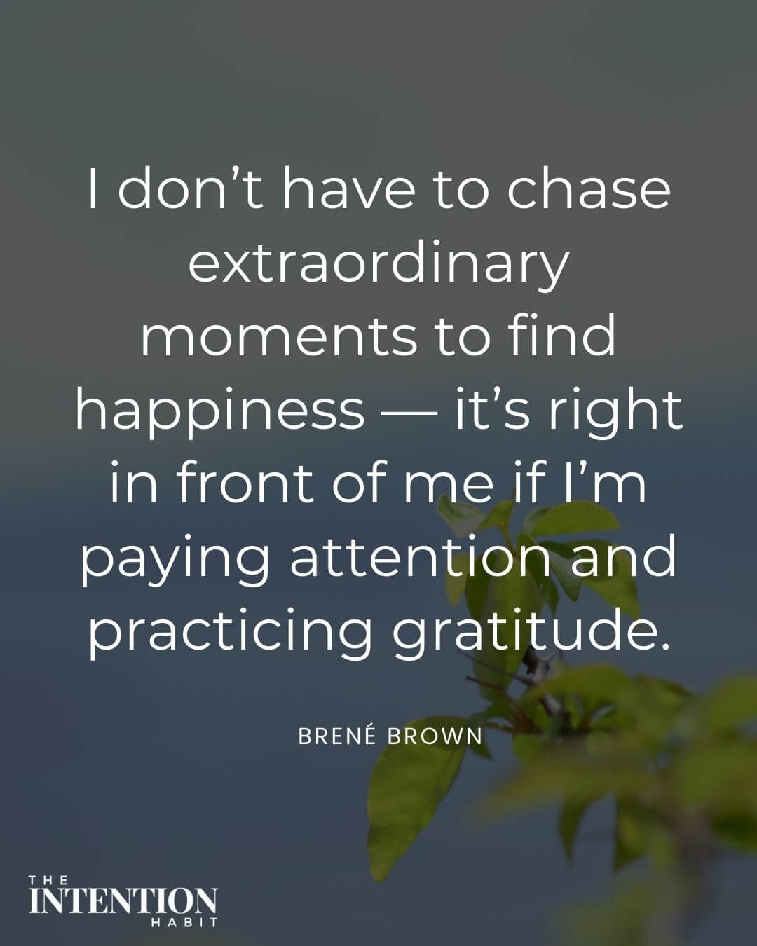 intentional living quote - i dont have to chase extrodinary moments to find happiness - its right in front of me if i'm paying attention and practicing gratitude