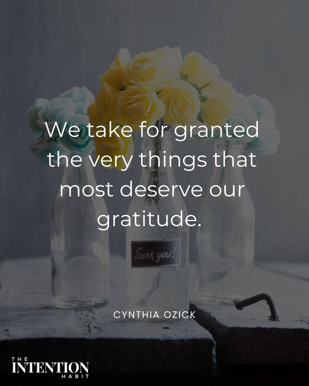 Intentional living quote - we take for granted the very things that deserve our gratitude