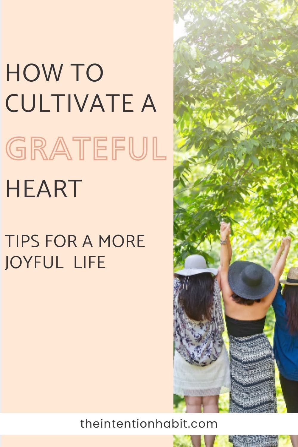 how to cultivate a grateful heart and lead a more joyful life.